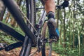 SHIMANO Superge SHXC502 modre