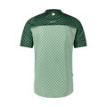 SHIMANO Jersey FUJIMI zelena