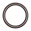 Pnevmatika SCHWALBE RICK XC PRO (62-622) 29x2.40 Evolution 67EPI 760g Transparent TLR Speed ​​​​NEW25