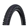 Pnevmatika SCHWALBE ALBERT TRAIL PRO (63-622) 29x2.50 Evolution 67EPI Radial 1180g Black TLR Ultra Soft NEW25