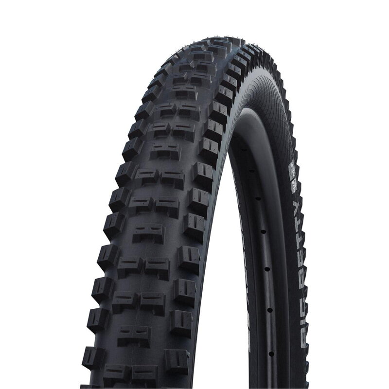 SCHWALBE Guma BIG BETTY (62-559) 26x2.40 Performance 2x50EPI 1350g Črna