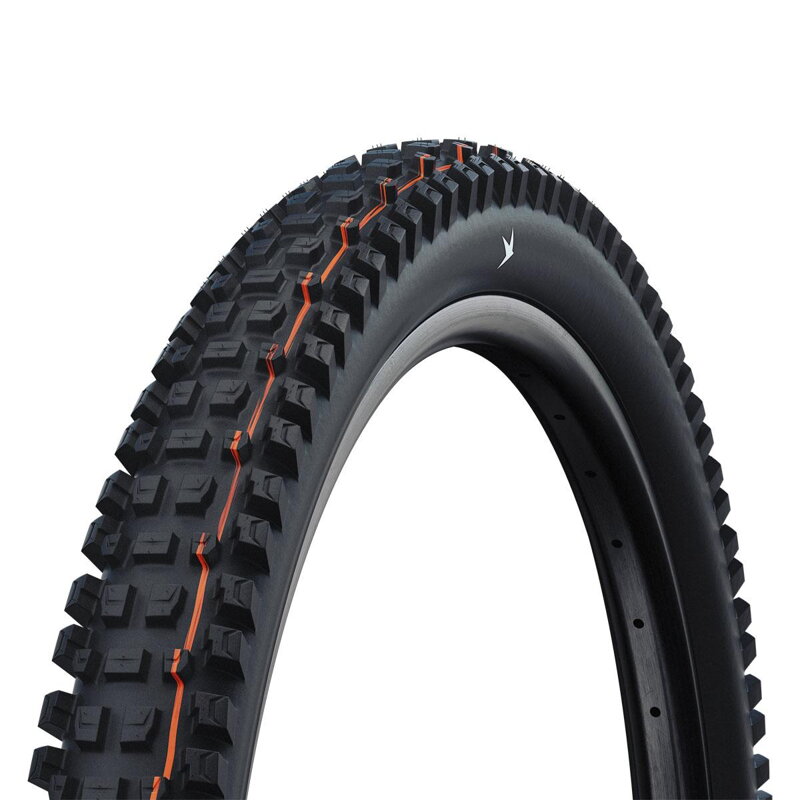 Pnevmatika SCHWALBE ALBERT GRAVITY PRO (63-622) 29x2.50 Evolution 67EPI Radial 1330g Black TLR Soft NEW25